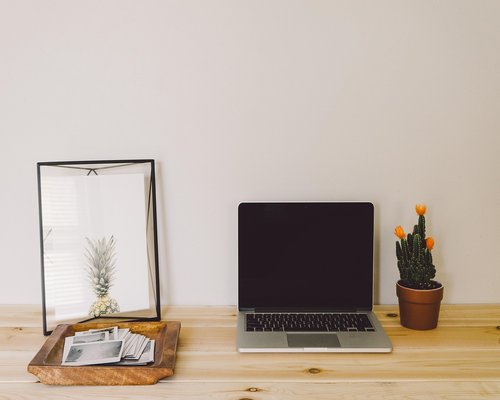 A modern shared workspace table setup with natural green textures and wooden elements